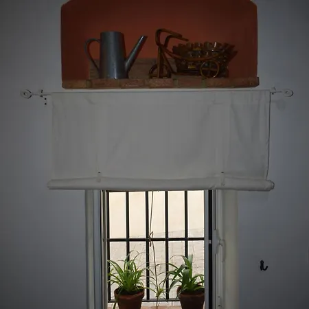 Nest Of In Seville, Casa El Pocito 1